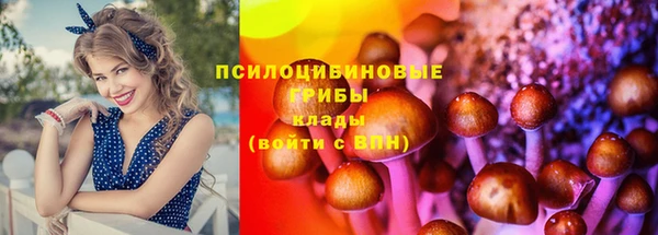 герыч Елизово
