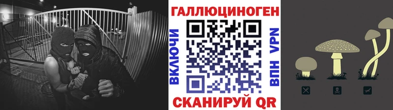 Галлюциногенные грибы мицелий  Каргополь 